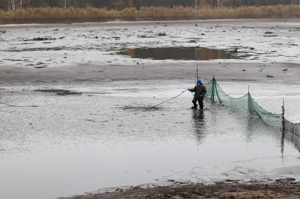 Gospodarstwo Rybackie Grobla Kluki