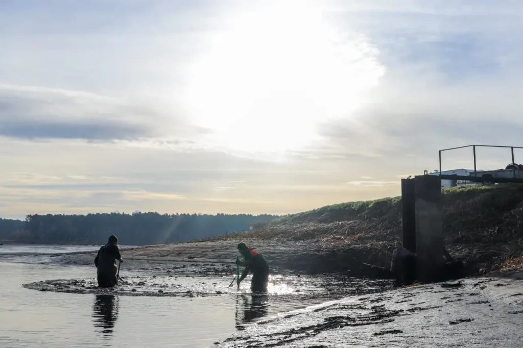 Gospodarstwo Rybackie Grobla Kluki